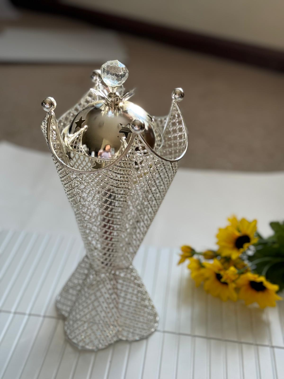 Silver Crown Dani